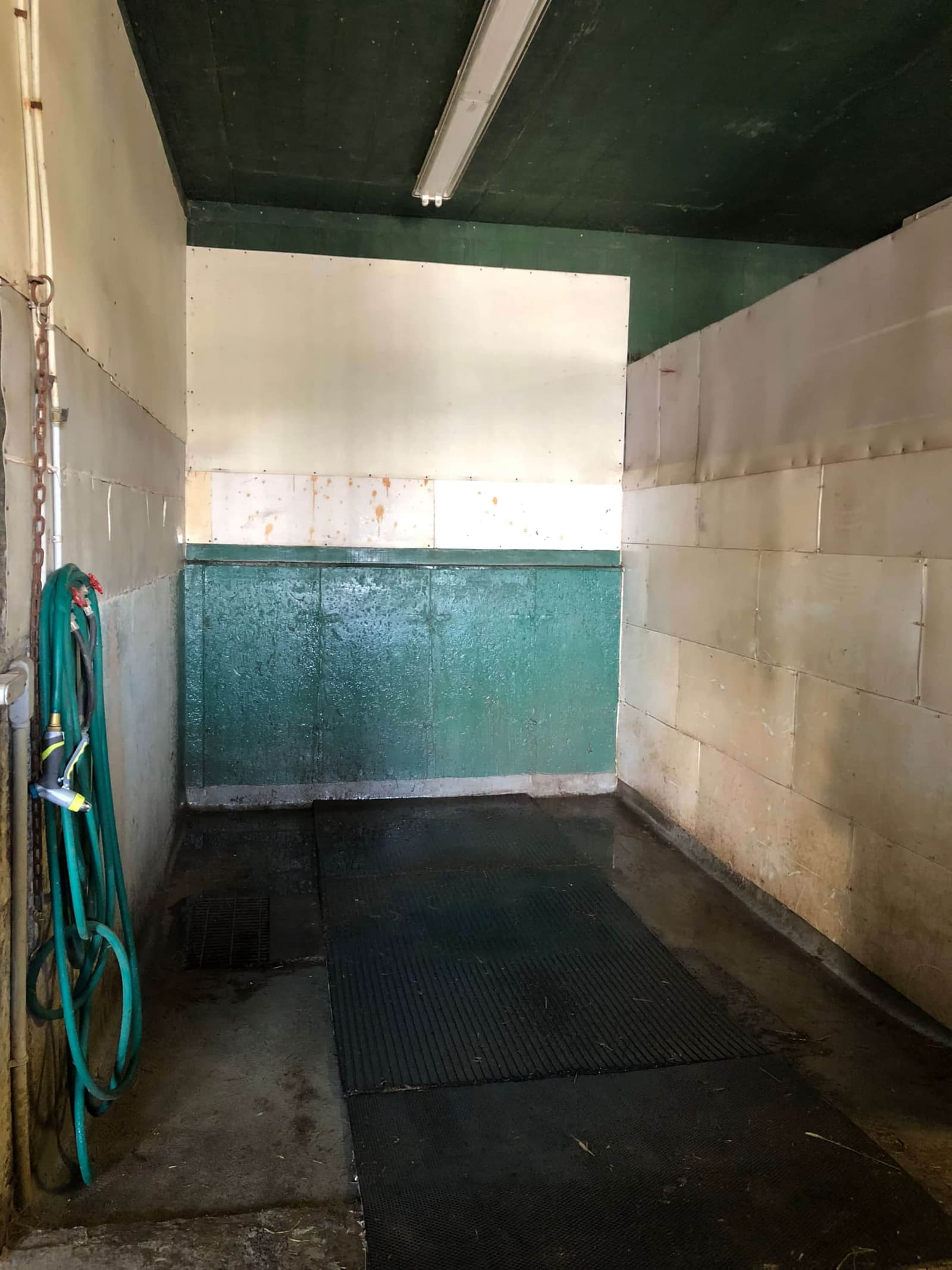 Douche pour chevaux avec tapis de caoutchouc et boyau d’arrosage