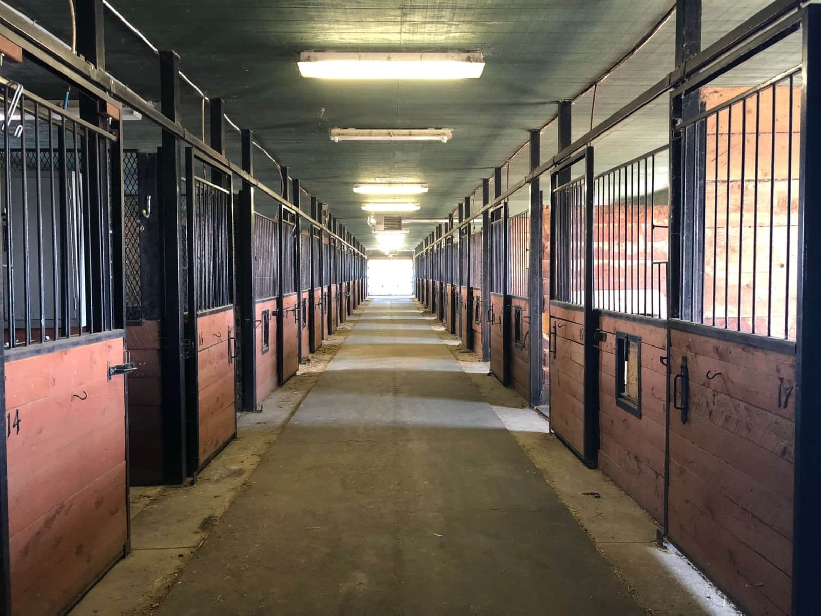 Allée centrale de l’écurie bordée de box fenêtrés